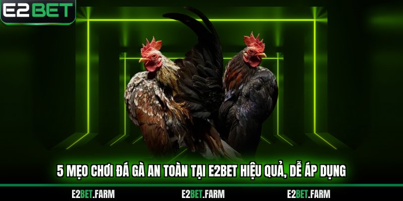 mẹo chơi đá gà an toàn