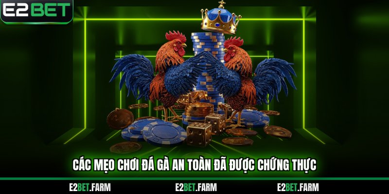 Các mẹo chơi đá gà an toàn đã được chứng thực