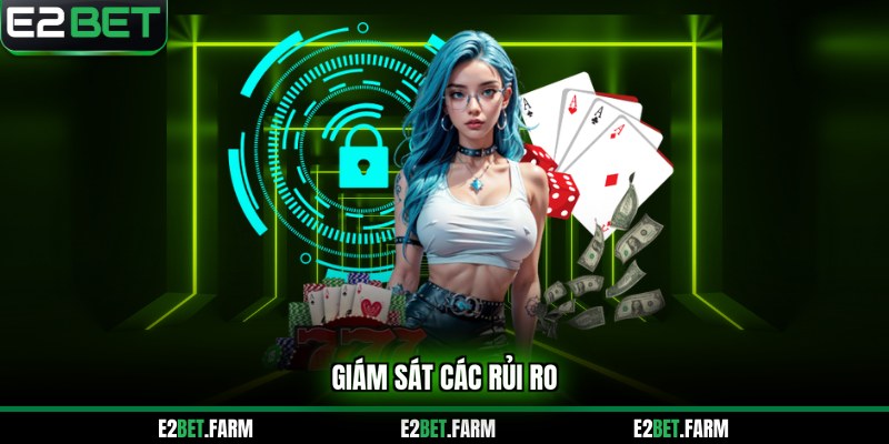 Giám sát các rủi ro