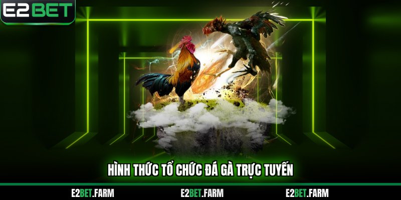 Hình thức tổ chức đá gà 