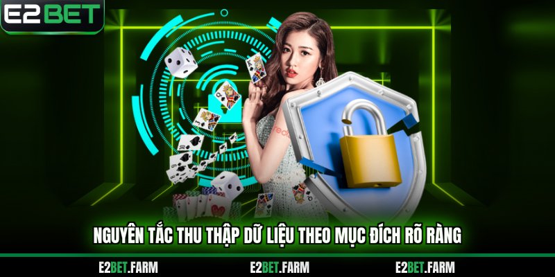 Nguyên tắc thu thập dữ liệu 