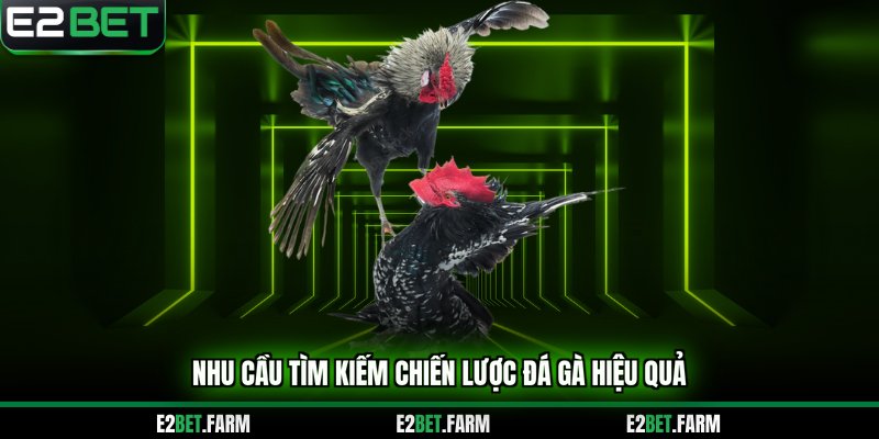 Nhu cầu tìm kiếm chiến lược đá gà hiệu quả