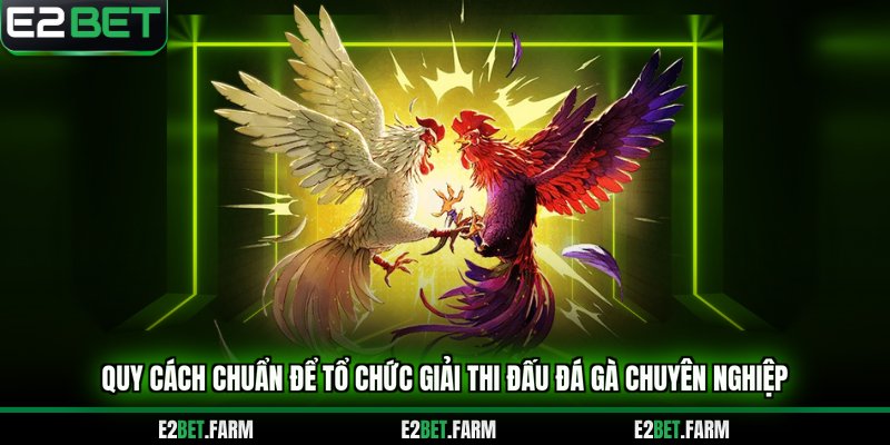 Quy cách chuẩn để tổ chức giải thi đấu đá gà chuyên nghiệp